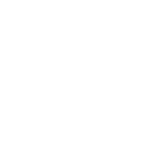 why-icon-1
